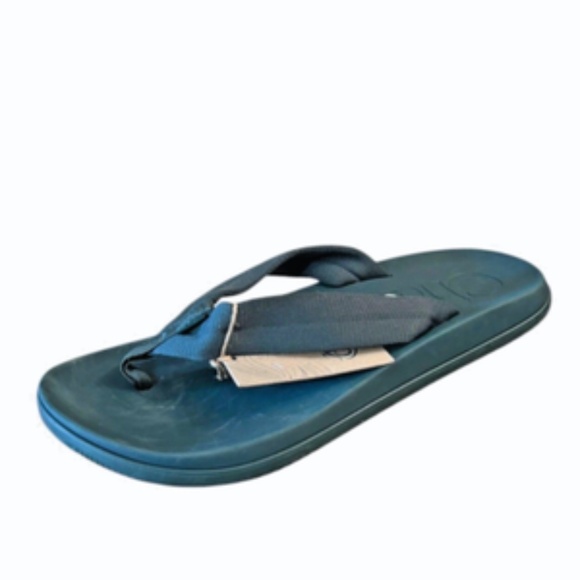 Chaco Mens Chillos Flip Flops Size 10 Tube Pine Sandals - Picture 1 of 9